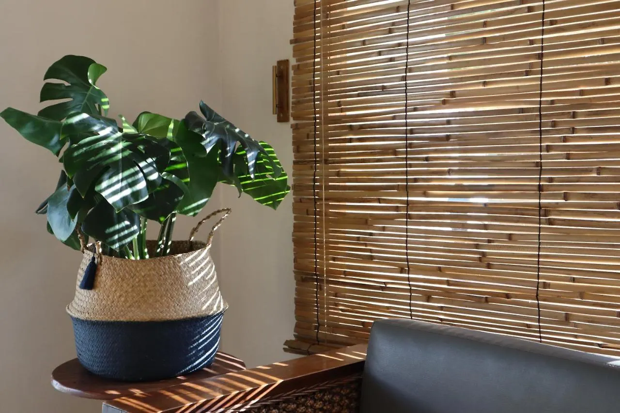3B Wellness Hotel & Hostel Adults Only Mexico